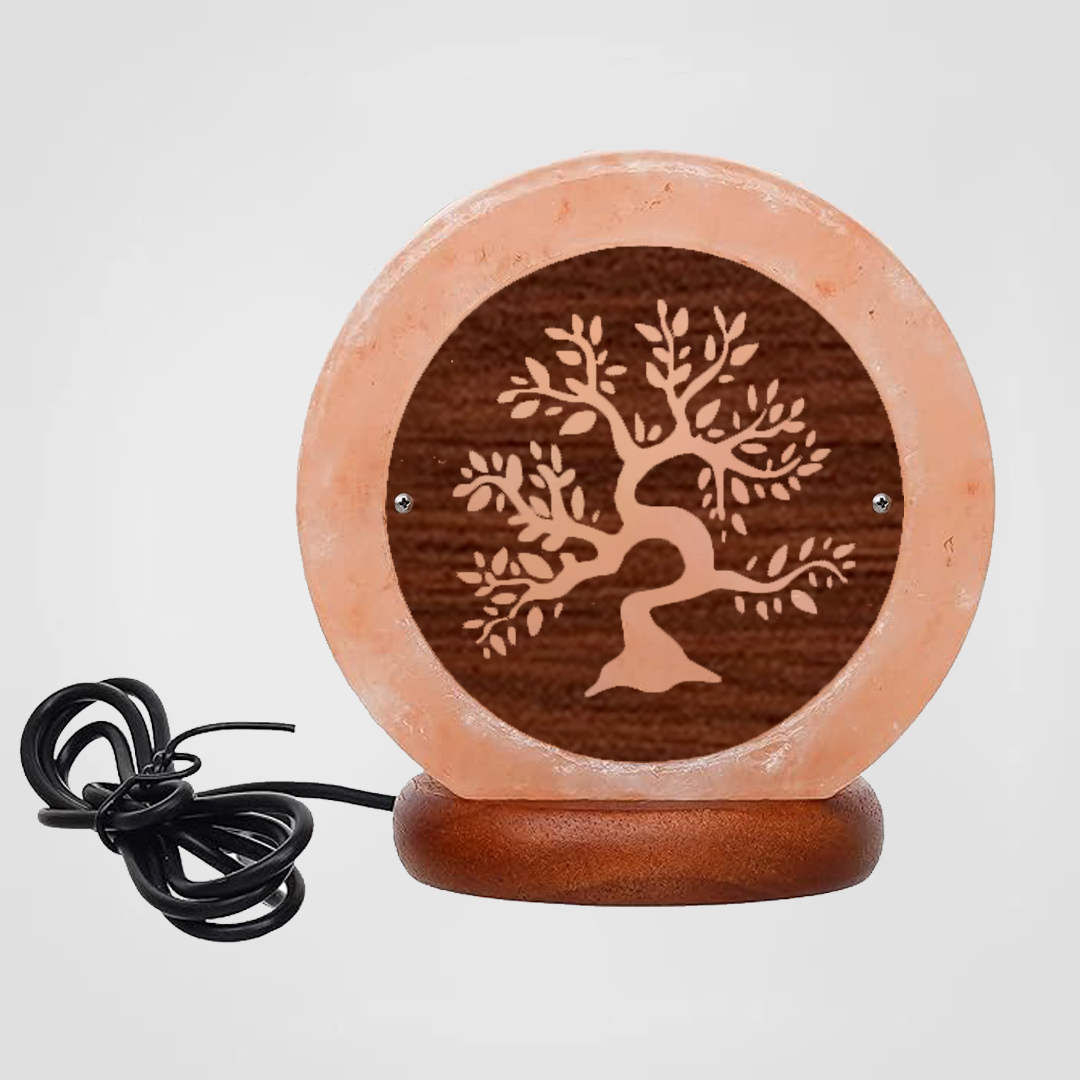 Himalayan Salt Lamp USB Bonsai Tree Wooden Sheet