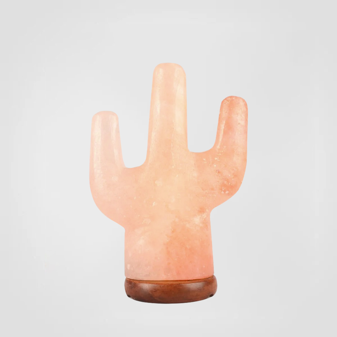 Cactus Salt Lamp <span class="one">Size: 8 x 6 x 3 Inch </span> <span class="two">PHC - 15</span>