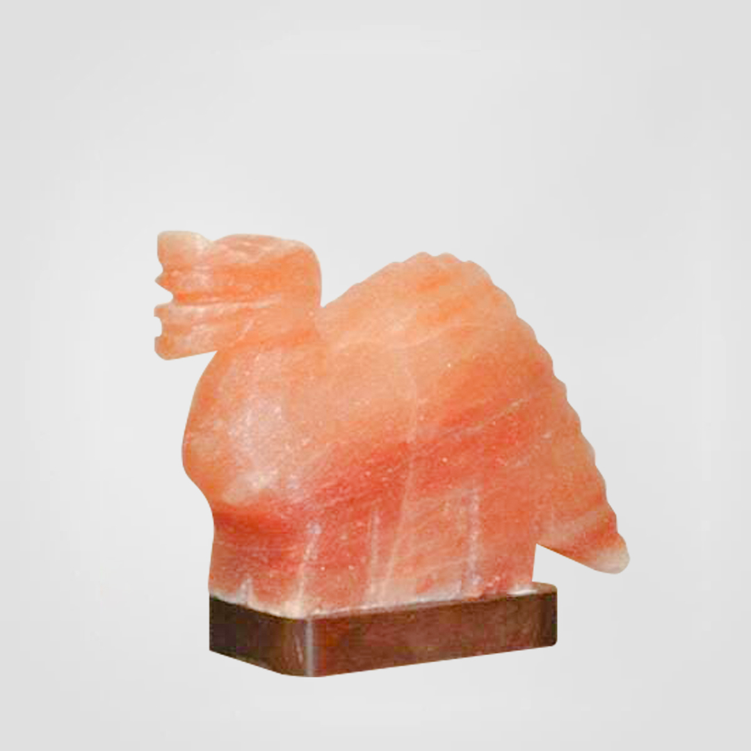 Dinosaur Salt Lamp <span class="one">Size: 8 x 6 x 3 Inch </span> <span class="two">PHC - 46</span>