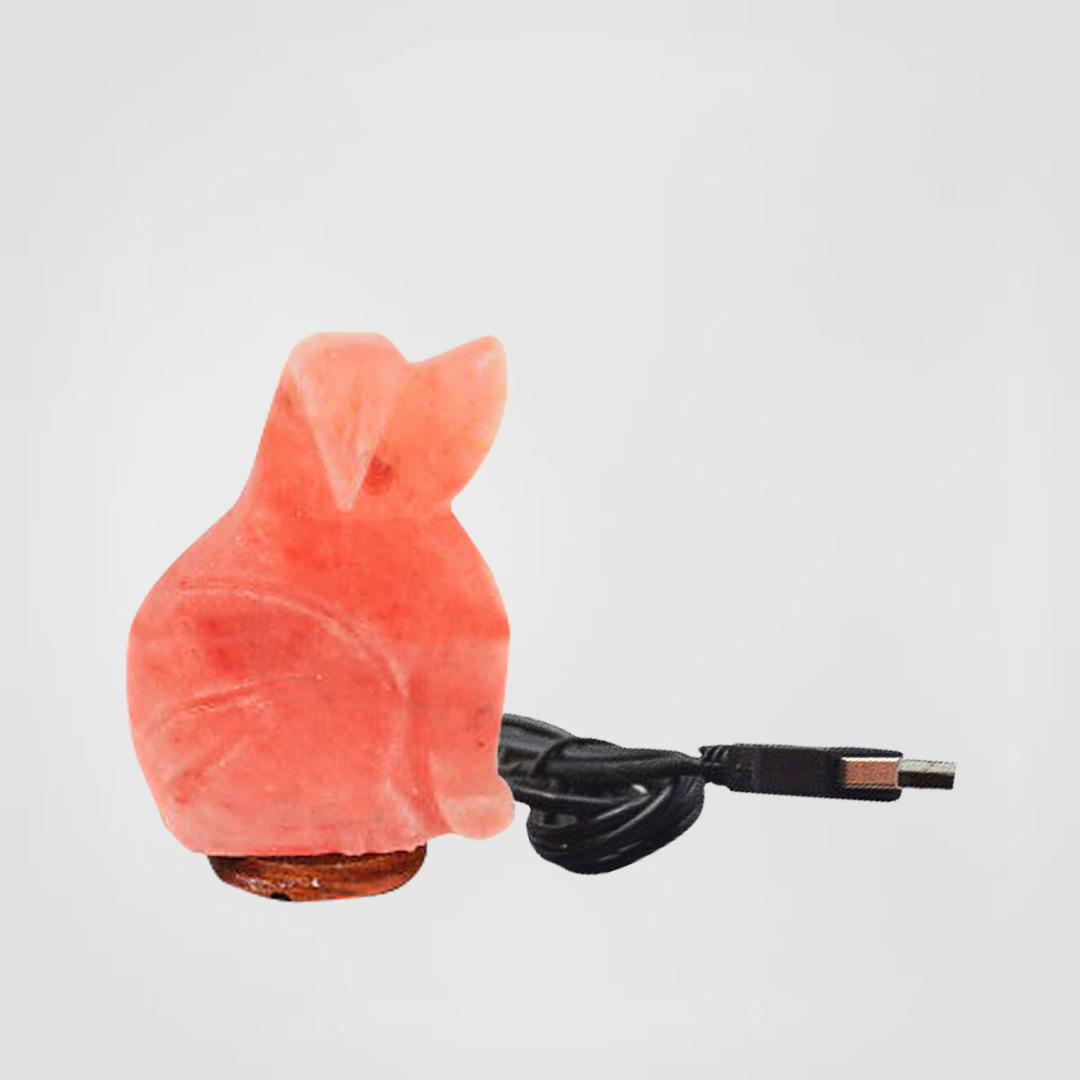 Color Changing Himalayan Salt Lamp USB Dog