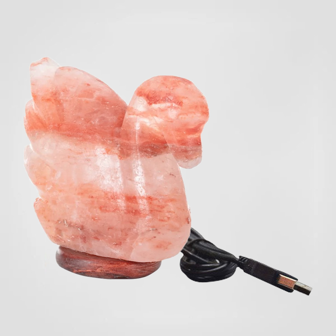 Color Changing Himalayan Salt Lamp USB Duck