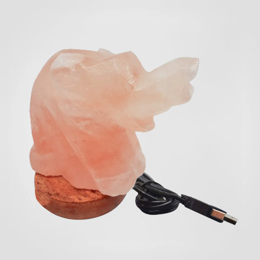 Color Changing Himalayan Salt Lamp USB Elephant