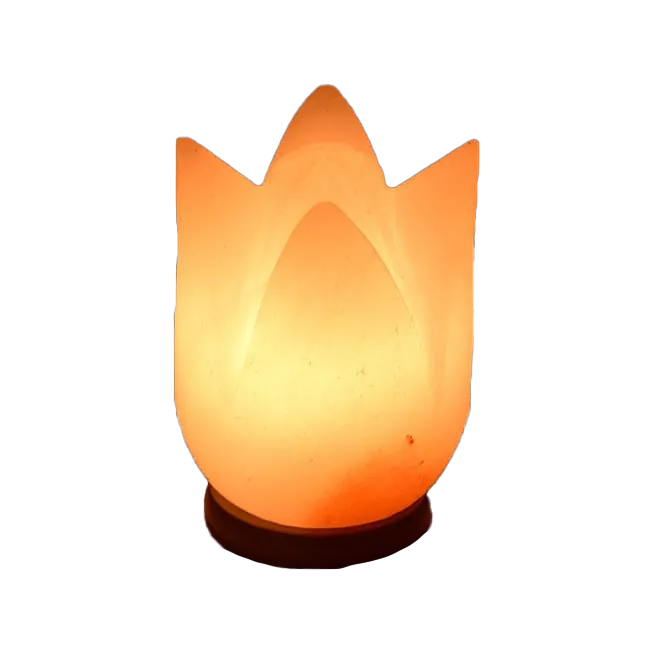 Lotus Flower Salt Lamp