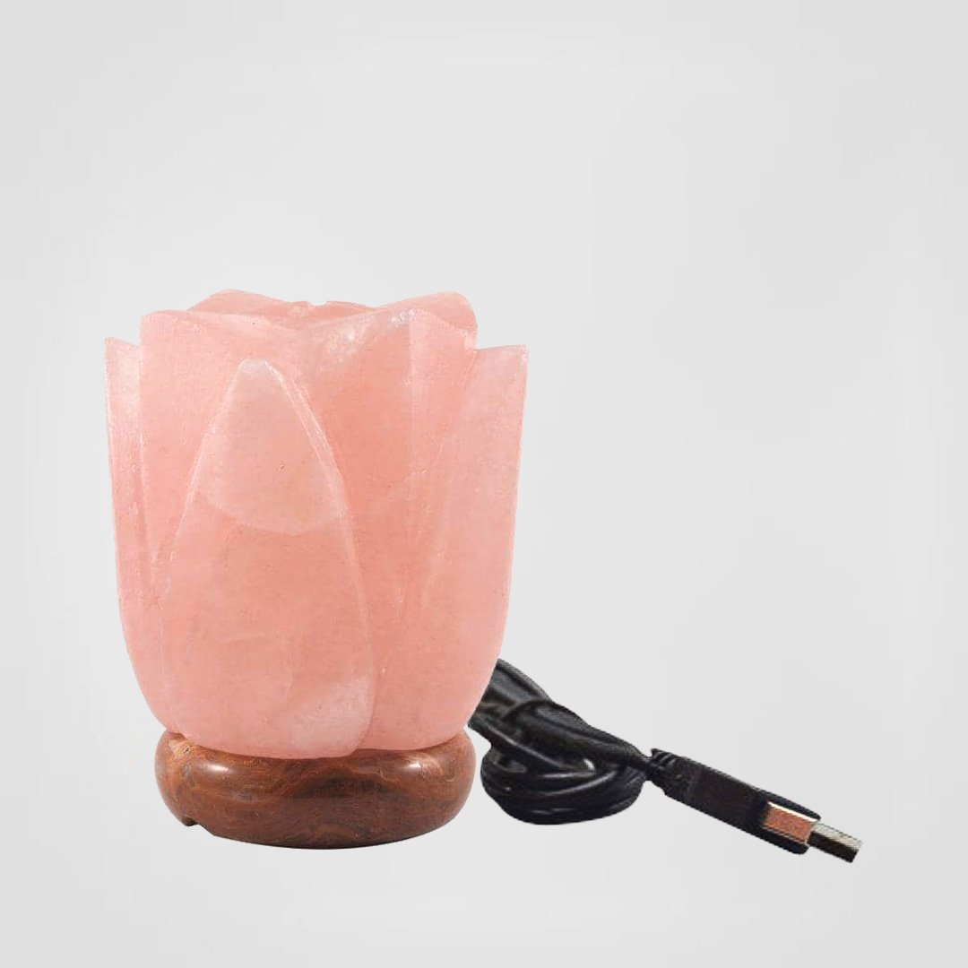 Color Changing Himalayan Salt Lamp USB Lotus Flower