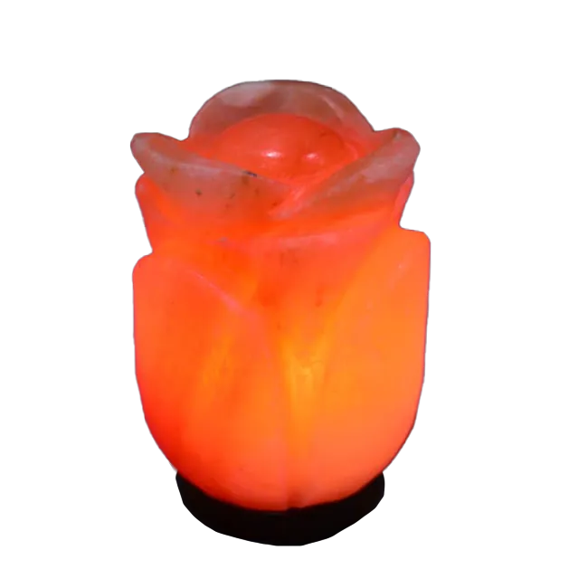 Rose Flower Salt Lamp