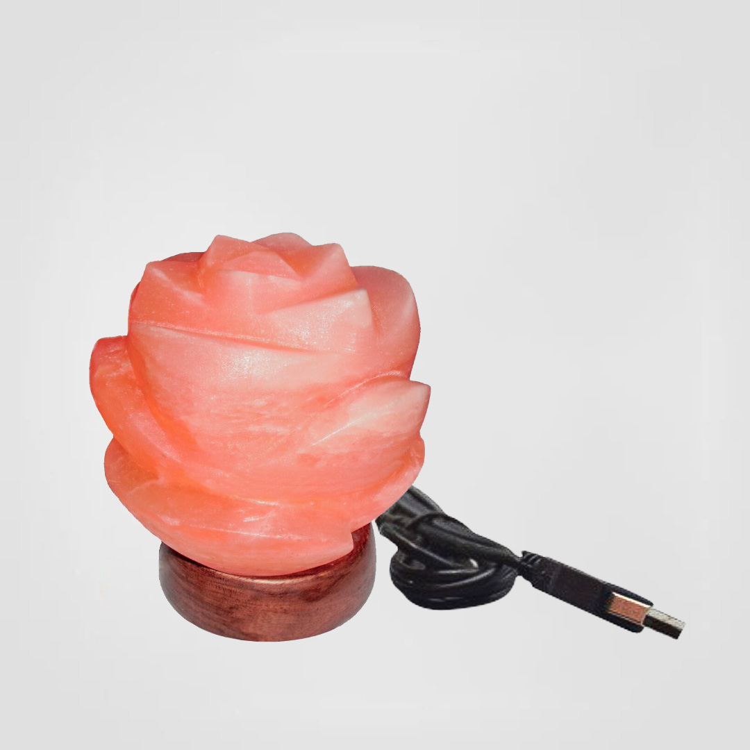 Color Changing Himalayan Salt Lamp USB Rose Flower
