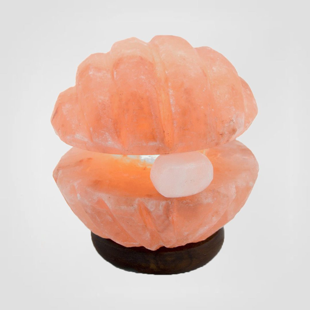 Sea Shell Salt Lamp <span class="one">Size: 8 x 6 x 3 Inch </span> <span class="two">PHC - 60</span>