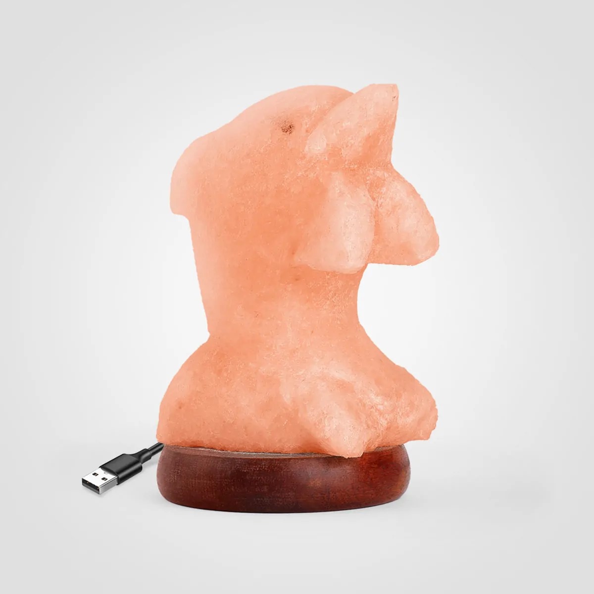 Color Changing Himalayan Salt Lamp USB Dolphin