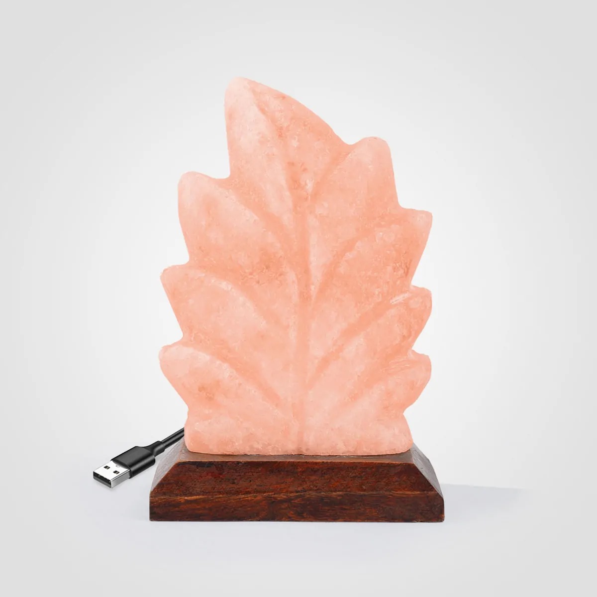 Color Changing Himalayan Salt Lamp USB Leaf