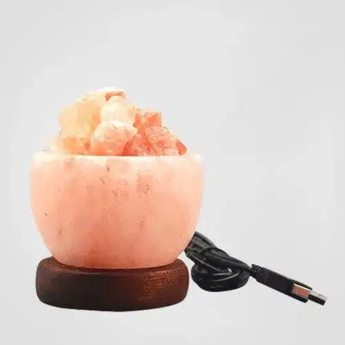 rocksaltpns-Himalayan-Salt-Lamp-pakistans-himalayan-pink-salt-lamp-wholesale-suppliers-img2