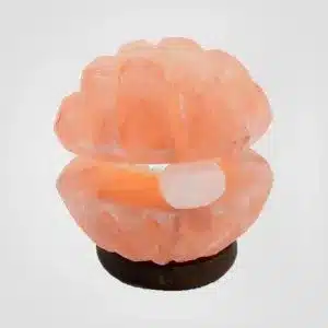 rocksaltpns-Himalayan-Salt-Lamp-understanding-salt-lamp-shapes-a-complete-guide-2025-img5