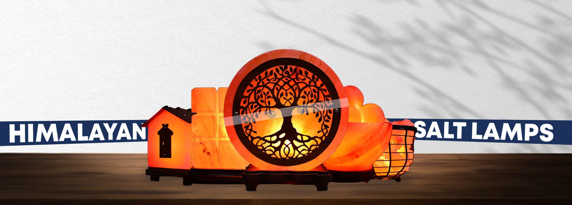 home page section banner 1