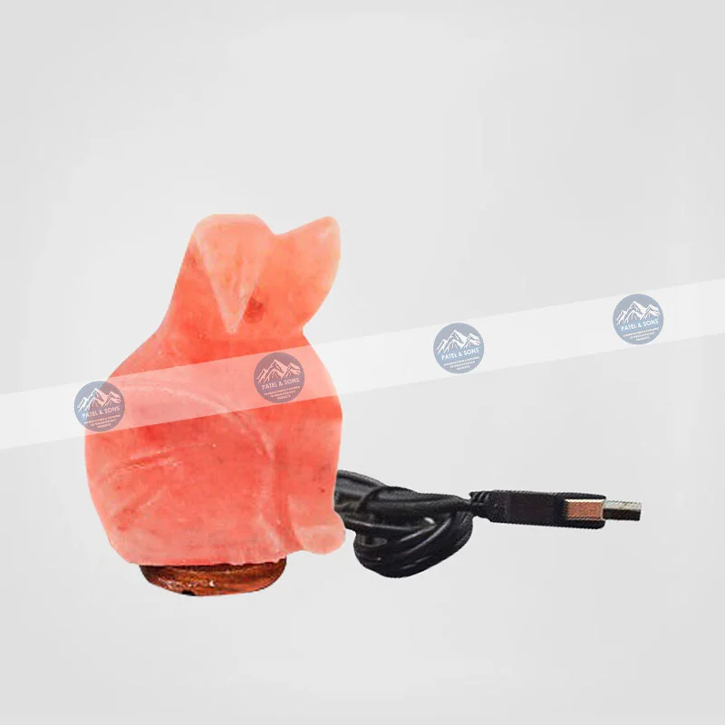 Dog <span class="one">USB Salt Lamp Color Changing</span> <span class="two">Size: 3 x 3 x 3.5 Inch</span> <span class="three">PUS - 44</span>