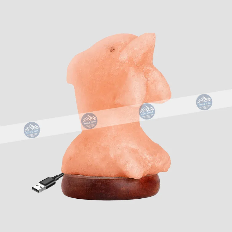 Dolphin <span class="one">USB Salt Lamp Color Changing</span> <span class="two">Size: 3 x 3 x 3.5 Inch</span> <span class="three">PUS - 36</span>