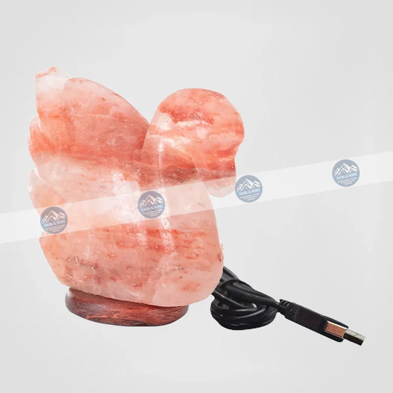 Duck <span class="one">USB Salt Lamp Color Changing</span> <span class="two">Size: 3 x 3 x 3.5 Inch</span> <span class="three">PUS - 40</span>