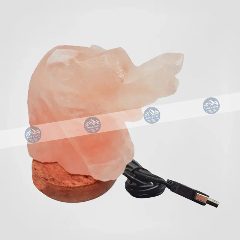 Elephant <span class="one">USB Salt Lamp Color Changing</span> <span class="two">Size: 3 x 3 x 3.5 Inch</span> <span class="three">PUS - 43</span>