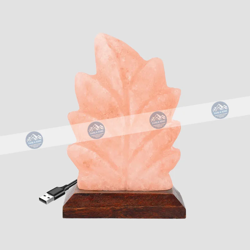Leaf <span class="one">USB Salt Lamp Color Changing</span> <span class="two">Size: 3 x 3 x 3.5 Inch</span> <span class="three">PUS - 35</span>