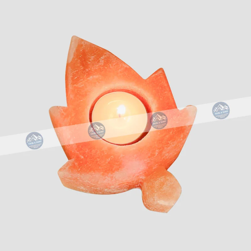 Leaf Shape <span class="one">Salt Candle Tealight Holder</span> <span class="two">Size: 4 x 4 x 2 Inch </span> <span class="three">PCH - 01</span>