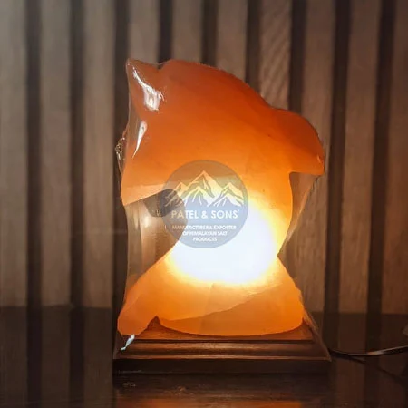 Dolphin Salt Lamp