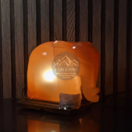 Elephant Salt Lamp