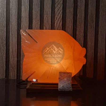Paplet Fish Salt Lamp