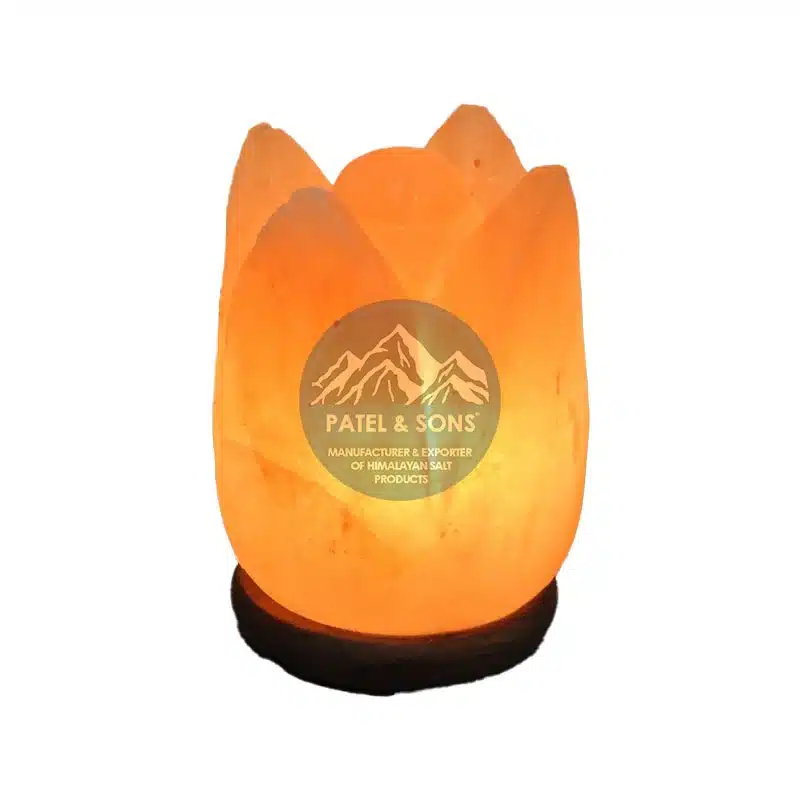 Himalayan Pink Salt Lamp Wholesale Supplier Pakistan Natural Himalayan Salt Lamp Exporter Worldwide Handcrafted Rock Salt Lamp Manufacturer Premium Pink Salt Lamp Factory Pakistan Himalayan Crystal Salt Lamp for Home Decor Authentic Rock Salt Lamp Supplier International Pakistan Himalayan Salt Lamp Export Company Decorative Himalayan Pink Salt Night Lamp Pure Himalayan Salt Lamp with Wooden Base Handmade Himalayan Salt Lamp Bulk Export Natural Air Purifier Himalayan Salt Lamp Himalayan Salt Lamp Manufacturer for USA Buyers Luxury Pink Salt Lamp Supplier UK Market Duck Shape Himalayan Salt Lamp Export Quality Original Khewra Himalayan Salt Lamp Pakistan Rock Salt Lamp Factory Direct Supplier Export Quality Pink Salt Crystal Lamp Decorative Salt Lamp for Bedroom and Spa Himalayan Salt Lamp for Meditation Room Premium Handmade Salt Lamp from Pakistan Wholesale Himalayan Salt Lamps for Retailers Natural Crystal Rock Salt Lamp Supplier Pakistan Pink Salt Lamp Manufacturer Hand Carved Himalayan Salt Lamp Exporter Modern Decorative Himalayan Salt Lamp Genuine Himalayan Rock Salt Lamp Wholesale Himalayan Salt Lamp Supplier for Hotels Himalayan Pink Salt Lamp for Wellness Centers Exporter of Natural Himalayan Salt Lamps Himalayan Salt Lamp Bulk Manufacturer Pakistan Handcrafted Pink Salt Lamp for Home Decoration Natural Himalayan Crystal Lamp Supplier Original Himalayan Salt Lamp Export Pakistan White Himalayan Salt Lamp Manufacturer USB Himalayan Salt Lamp Supplier Himalayan Fire Bowl Salt Lamp Exporter Basket Shape Himalayan Salt Lamp Supplier Aromatherapy Himalayan Salt Lamp Manufacturer Decorative Pink Salt Lamp for Living Room Premium Rock Salt Lamp Wholesale Pakistan Pakistan Salt Lamp Factory for Importers Himalayan Salt Lamp Exporter for Europe Handcrafted Salt Lamps from Khewra Mines High Quality Himalayan Salt Lamp Supplier Luxury Handmade Himalayan Salt Crystal Lamp Natural Pink Salt Lamp for Relaxation Himalayan Salt Lamp for Office Decoration Pure Rock Salt Lamp Manufacturer Pakistan Eco Friendly Himalayan Salt Lamp Supplier Natural Crystal Salt Lamp Export Worldwide Himalayan Salt Lamp Supplier USA Market Pink Salt Lamp Wholesale UK Supplier Authentic Pakistan Himalayan Salt Products Decorative Himalayan Salt Lamp for Gifts Himalayan Salt Lamp Exporter with Custom Sizes Himalayan Salt Lamp Manufacturer and Exporter Himalayan Rock Salt Crystal Lamp Pakistan Himalayan Salt Lamp Supplier for Retail Stores Handmade Pink Salt Lamp with Natural Glow Rock Salt Lamp Export Factory Pakistan Bulk Himalayan Salt Lamps for Importers Handcrafted Himalayan Salt Lamps Wholesale Premium Salt Lamp Manufacturer Worldwide Supply Decorative Natural Rock Salt Lamps Himalayan Salt Lamp for Yoga Studio Himalayan Salt Lamp with LED Light Base Pakistan Himalayan Salt Export Supplier Genuine Himalayan Crystal Salt Lamp Himalayan Salt Lamp Supplier with Fast Export Natural Pink Crystal Lamp Manufacturer Handmade Salt Lamp Supplier from Pakistan Rock Salt Lamp for Interior Decoration Premium Quality Himalayan Salt Lamps Himalayan Salt Products Export Company Natural Himalayan Salt Lamp for Wellness Decorative Salt Crystal Lamp Supplier Himalayan Salt Lamp Manufacturer for Amazon Sellers Best Himalayan Salt Lamp Supplier Pakistan Himalayan Salt Lamp Exporter for Wholesale Buyers Luxury Rock Salt Lamp for Modern Homes Natural Himalayan Salt Lamp Gift Item Himalayan Salt Lamp Factory with Bulk Supply Crystal Himalayan Salt Lamp for Bedroom Eco Friendly Himalayan Pink Salt Lamp Himalayan Salt Lamp Manufacturer for Distributors Natural Rock Salt Lamp for Spa Decoration Pink Himalayan Salt Lamp Supplier Europe Pakistan Rock Salt Products Exporter Decorative Himalayan Crystal Lamp Export Himalayan Salt Lamp Wholesale Factory Direct Handcrafted Pink Salt Lamps Pakistan Modern Himalayan Salt Lamp Manufacturer High Grade Himalayan Salt Lamp Supplier Natural Himalayan Rock Salt Products Himalayan Salt Lamp for Hotel Interior Handmade Crystal Salt Lamp Wholesale Pakistan Himalayan Salt Lamp Factory Decorative Himalayan Salt Lamp Exporter Premium Rock Salt Crystal Lamp Pakistan Original Himalayan Pink Salt Lamp Supplier Handmade Himalayan Pink Salt Lamp – Natural Crystal Glow Premium Himalayan Rock Salt Lamp with Wooden Base Duck Shape Himalayan Salt Lamp – Handcrafted Pakistan Natural Pink Salt Lamp for Home & Spa Decoration Himalayan Crystal Salt Lamp – Export Quality Luxury Himalayan Salt Lamp for Bedroom Decor Basket Style Himalayan Salt Lamp Handmade Fire Bowl Himalayan Salt Lamp with Crystal Chunks USB Himalayan Pink Salt Lamp for Office Desk White Himalayan Salt Lamp Premium Collection Decorative Himalayan Salt Night Lamp Hand Carved Rock Salt Lamp from Pakistan Aromatherapy Himalayan Salt Lamp Natural Glow Natural Air Purifying Himalayan Salt Lamp Premium Pakistan Himalayan Salt Crystal Lamp Buy premium Himalayan pink salt lamps from Pakistan’s trusted manufacturer & exporter Patel & Sons. Wholesale prices with worldwide shipping available Patel & Sons offers handcrafted Himalayan salt lamps, rock salt products, and pink salt decor items for international wholesale buyers Looking for Himalayan salt lamp suppliers? Patel & Sons Pakistan exports natural pink salt lamps worldwide at factory prices Premium quality Himalayan rock salt lamps manufacturer in Pakistan. Wholesale export of handcrafted salt lamps globally Explore natural Himalayan pink salt lamps with elegant handcrafted designs. Trusted exporter and supplier from Pakistan Himalayan Salt Lamp Supplier USA Himalayan Salt Lamp Wholesale UK Pink Salt Lamp Importer USA Himalayan Salt Products Distributor UK Rock Salt Lamp Bulk Supplier USA Natural Himalayan Salt Lamp Manufacturer Himalayan Salt Lamp Exporter Pakistan Wholesale Pink Salt Lamps Europe Himalayan Salt Decor Supplier Pakistan Himalayan Salt Products Exporter Himalayan Crystal Lamp Wholesale Salt Lamp Factory Pakistan Bulk Himalayan Salt Lamps for Retailers Premium Himalayan Salt Products USA Handmade Himalayan Salt Lamps UK Natural Rock Salt Lamp Distributor Wholesale Himalayan Salt Products Himalayan Salt Gifts Supplier Pink Salt Home Decor Manufacturer Himalayan Salt Lamp for Amazon Wholesale Buyers