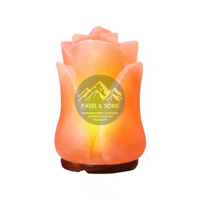 Himalayan Pink Salt Lamp Wholesale Supplier Pakistan Natural Himalayan Salt Lamp Exporter Worldwide Handcrafted Rock Salt Lamp Manufacturer Premium Pink Salt Lamp Factory Pakistan Himalayan Crystal Salt Lamp for Home Decor Authentic Rock Salt Lamp Supplier International Pakistan Himalayan Salt Lamp Export Company Decorative Himalayan Pink Salt Night Lamp Pure Himalayan Salt Lamp with Wooden Base Handmade Himalayan Salt Lamp Bulk Export Natural Air Purifier Himalayan Salt Lamp Himalayan Salt Lamp Manufacturer for USA Buyers Luxury Pink Salt Lamp Supplier UK Market Duck Shape Himalayan Salt Lamp Export Quality Original Khewra Himalayan Salt Lamp Pakistan Rock Salt Lamp Factory Direct Supplier Export Quality Pink Salt Crystal Lamp Decorative Salt Lamp for Bedroom and Spa Himalayan Salt Lamp for Meditation Room Premium Handmade Salt Lamp from Pakistan Wholesale Himalayan Salt Lamps for Retailers Natural Crystal Rock Salt Lamp Supplier Pakistan Pink Salt Lamp Manufacturer Hand Carved Himalayan Salt Lamp Exporter Modern Decorative Himalayan Salt Lamp Genuine Himalayan Rock Salt Lamp Wholesale Himalayan Salt Lamp Supplier for Hotels Himalayan Pink Salt Lamp for Wellness Centers Exporter of Natural Himalayan Salt Lamps Himalayan Salt Lamp Bulk Manufacturer Pakistan Handcrafted Pink Salt Lamp for Home Decoration Natural Himalayan Crystal Lamp Supplier Original Himalayan Salt Lamp Export Pakistan White Himalayan Salt Lamp Manufacturer USB Himalayan Salt Lamp Supplier Himalayan Fire Bowl Salt Lamp Exporter Basket Shape Himalayan Salt Lamp Supplier Aromatherapy Himalayan Salt Lamp Manufacturer Decorative Pink Salt Lamp for Living Room Premium Rock Salt Lamp Wholesale Pakistan Pakistan Salt Lamp Factory for Importers Himalayan Salt Lamp Exporter for Europe Handcrafted Salt Lamps from Khewra Mines High Quality Himalayan Salt Lamp Supplier Luxury Handmade Himalayan Salt Crystal Lamp Natural Pink Salt Lamp for Relaxation Himalayan Salt Lamp for Office Decoration Pure Rock Salt Lamp Manufacturer Pakistan Eco Friendly Himalayan Salt Lamp Supplier Natural Crystal Salt Lamp Export Worldwide Himalayan Salt Lamp Supplier USA Market Pink Salt Lamp Wholesale UK Supplier Authentic Pakistan Himalayan Salt Products Decorative Himalayan Salt Lamp for Gifts Himalayan Salt Lamp Exporter with Custom Sizes Himalayan Salt Lamp Manufacturer and Exporter Himalayan Rock Salt Crystal Lamp Pakistan Himalayan Salt Lamp Supplier for Retail Stores Handmade Pink Salt Lamp with Natural Glow Rock Salt Lamp Export Factory Pakistan Bulk Himalayan Salt Lamps for Importers Handcrafted Himalayan Salt Lamps Wholesale Premium Salt Lamp Manufacturer Worldwide Supply Decorative Natural Rock Salt Lamps Himalayan Salt Lamp for Yoga Studio Himalayan Salt Lamp with LED Light Base Pakistan Himalayan Salt Export Supplier Genuine Himalayan Crystal Salt Lamp Himalayan Salt Lamp Supplier with Fast Export Natural Pink Crystal Lamp Manufacturer Handmade Salt Lamp Supplier from Pakistan Rock Salt Lamp for Interior Decoration Premium Quality Himalayan Salt Lamps Himalayan Salt Products Export Company Natural Himalayan Salt Lamp for Wellness Decorative Salt Crystal Lamp Supplier Himalayan Salt Lamp Manufacturer for Amazon Sellers Best Himalayan Salt Lamp Supplier Pakistan Himalayan Salt Lamp Exporter for Wholesale Buyers Luxury Rock Salt Lamp for Modern Homes Natural Himalayan Salt Lamp Gift Item Himalayan Salt Lamp Factory with Bulk Supply Crystal Himalayan Salt Lamp for Bedroom Eco Friendly Himalayan Pink Salt Lamp Himalayan Salt Lamp Manufacturer for Distributors Natural Rock Salt Lamp for Spa Decoration Pink Himalayan Salt Lamp Supplier Europe Pakistan Rock Salt Products Exporter Decorative Himalayan Crystal Lamp Export Himalayan Salt Lamp Wholesale Factory Direct Handcrafted Pink Salt Lamps Pakistan Modern Himalayan Salt Lamp Manufacturer High Grade Himalayan Salt Lamp Supplier Natural Himalayan Rock Salt Products Himalayan Salt Lamp for Hotel Interior Handmade Crystal Salt Lamp Wholesale Pakistan Himalayan Salt Lamp Factory Decorative Himalayan Salt Lamp Exporter Premium Rock Salt Crystal Lamp Pakistan Original Himalayan Pink Salt Lamp Supplier Handmade Himalayan Pink Salt Lamp – Natural Crystal Glow Premium Himalayan Rock Salt Lamp with Wooden Base Duck Shape Himalayan Salt Lamp – Handcrafted Pakistan Natural Pink Salt Lamp for Home & Spa Decoration Himalayan Crystal Salt Lamp – Export Quality Luxury Himalayan Salt Lamp for Bedroom Decor Basket Style Himalayan Salt Lamp Handmade Fire Bowl Himalayan Salt Lamp with Crystal Chunks USB Himalayan Pink Salt Lamp for Office Desk White Himalayan Salt Lamp Premium Collection Decorative Himalayan Salt Night Lamp Hand Carved Rock Salt Lamp from Pakistan Aromatherapy Himalayan Salt Lamp Natural Glow Natural Air Purifying Himalayan Salt Lamp Premium Pakistan Himalayan Salt Crystal Lamp Buy premium Himalayan pink salt lamps from Pakistan’s trusted manufacturer & exporter Patel & Sons. Wholesale prices with worldwide shipping available Patel & Sons offers handcrafted Himalayan salt lamps, rock salt products, and pink salt decor items for international wholesale buyers Looking for Himalayan salt lamp suppliers? Patel & Sons Pakistan exports natural pink salt lamps worldwide at factory prices Premium quality Himalayan rock salt lamps manufacturer in Pakistan. Wholesale export of handcrafted salt lamps globally Explore natural Himalayan pink salt lamps with elegant handcrafted designs. Trusted exporter and supplier from Pakistan Himalayan Salt Lamp Supplier USA Himalayan Salt Lamp Wholesale UK Pink Salt Lamp Importer USA Himalayan Salt Products Distributor UK Rock Salt Lamp Bulk Supplier USA Natural Himalayan Salt Lamp Manufacturer Himalayan Salt Lamp Exporter Pakistan Wholesale Pink Salt Lamps Europe Himalayan Salt Decor Supplier Pakistan Himalayan Salt Products Exporter Himalayan Crystal Lamp Wholesale Salt Lamp Factory Pakistan Bulk Himalayan Salt Lamps for Retailers Premium Himalayan Salt Products USA Handmade Himalayan Salt Lamps UK Natural Rock Salt Lamp Distributor Wholesale Himalayan Salt Products Himalayan Salt Gifts Supplier Pink Salt Home Decor Manufacturer Himalayan Salt Lamp for Amazon Wholesale Buyers
